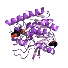 Example Structure of trehalose O-mycolyltransferase EC#: 2.3.1.122