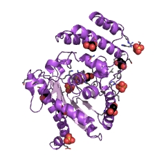 Example Structure of glycerol-3-phosphate 1-O-acyltransferase EC#: 2.3.1.15