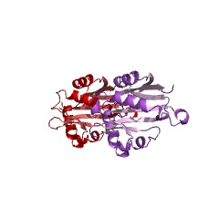 Example Structure of phosphinothricin acetyltransferase EC#: 2.3.1.183