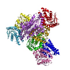 Example Structure of carboxymethylproline synthase EC#: 2.3.1.226
