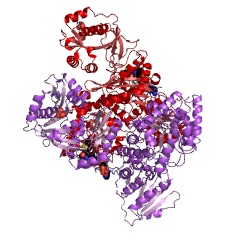 Example Structure of glucosamine N-acetyltransferase EC#: 2.3.1.3