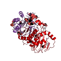 Example Structure of glutamate N-acetyltransferase EC#: 2.3.1.35