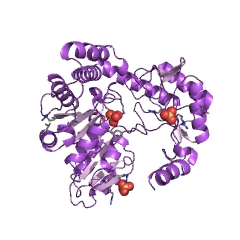 Example Structure of 8-amino-7-oxononanoate synthase EC#: 2.3.1.47