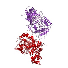 Example Structure of carnitine O-acetyltransferase EC#: 2.3.1.7