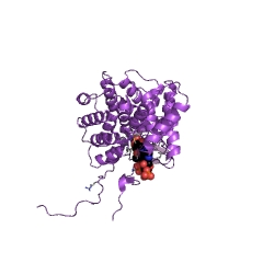 Example Structure of citrate synthase (unknown stereospecificity) EC#: 2.3.3.16