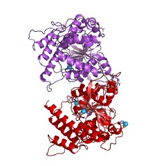 Example Structure of mannosyl-3-phosphoglycerate synthase EC#: 2.4.1.217