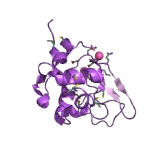 Example Structure of lactose synthase EC#: 2.4.1.22