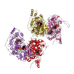 Example Structure of N-acetylgalactosaminyl-proteoglycan 3-beta-glucuronosyltransferase EC#: 2.4.1.226