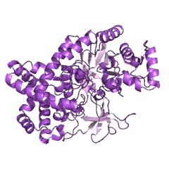 Example Structure of 4-alpha-glucanotransferase EC#: 2.4.1.25
