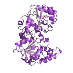 Example Structure of D-Man-alpha-(1->3)-D-Glc-beta-(1->4)-D-Glc-alpha-1-diphosphoundecaprenol 2-beta-glucuronosyltransferase EC#: 2.4.1.264″ /></td>
</tr>
<tr>
<td>别名</td>
<td>gumK</td>
</tr>
<tr>
<td>EC Number</td>
<td>2.4.1.264</td>
</tr>
<tr>
<td>CAS编号</td>
<td></td>
</tr>
<tr>
<td>Comments</td>
<td>The enzyme is involved in the biosynthesis of the exopolysaccharides xanthan (in the bacterium Xanthomonas campestris) and acetan (in the bacterium Gluconacetobacter xylinus).</td>
</tr>
<tr>
<td>Cofactor</td>
<td></td>
</tr>
<tr>
<td>History</td>
<td></td>
</tr>
<tr>
<td>Reactions</td>
<td>UDP-alpha-D-glucuronate + alpha-D-Man-(1->3)-beta-D-Glc-(1->4)-alpha-D- Glc-1-diphospho-ditrans,octacis-undecaprenol = Udp + beta-D-GlcA-(1->2)- alpha-D-Man-(1->3)-beta-D-Glc-(1->4)-alpha-D-Glc-1-diphospho- ditrans,octacis-undecaprenol.</td>
</tr>
</tbody>
</table>
</figure>
<!-- Developer mode initialization; Version: ;4.3.3Relation: tags; All categories: 1;No taxonomy terms to get posts;Plugin execution time: 0.0018749237060547 sec; --><!-- CONTENT END 1 -->
<table>
<tr><td colspan=