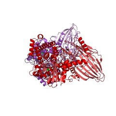 Example Structure of maltose phosphorylase EC#: 2.4.1.8