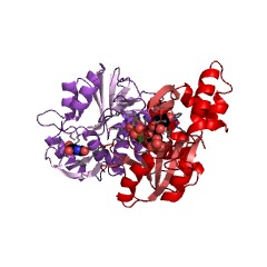 Example Structure of orotate phosphoribosyltransferase EC#: 2.4.2.10