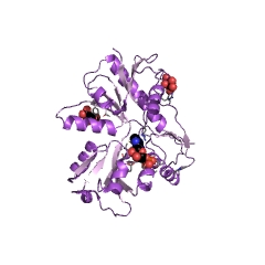 Example Structure of ATP phosphoribosyltransferase EC#: 2.4.2.17