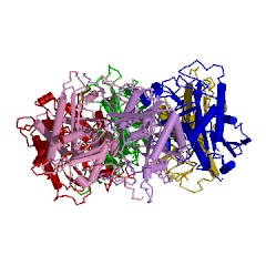 Example Structure of uridine phosphorylase EC#: 2.4.2.3