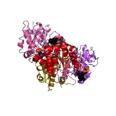 Example Structure of flavin prenyltransferase EC#: 2.5.1.129