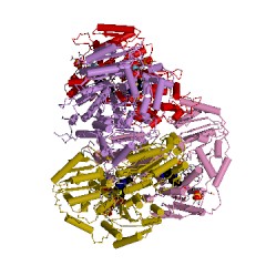 Example Structure of N2-(2-carboxyethyl)arginine synthase EC#: 2.5.1.66