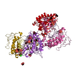 Example Structure of ditrans,polycis-polyprenyl diphosphate synthase [(2E,6E)-farnesyl diphosphate specific] EC#: 2.5.1.87