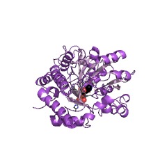 Example Structure of L-glutamine:2-deoxy-scyllo-inosose aminotransferase EC#: 2.6.1.100