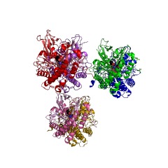 Example Structure of tryptophan transaminase EC#: 2.6.1.27