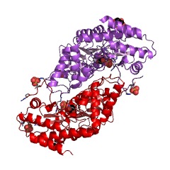 Example Structure of pyridoxamine-pyruvate transaminase EC#: 2.6.1.30