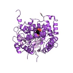 Example Structure of glutamine-phenylpyruvate transaminase EC#: 2.6.1.64