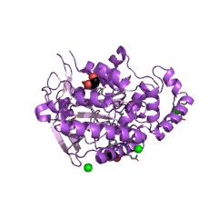 Example Structure of valine-pyruvate transaminase EC#: 2.6.1.66