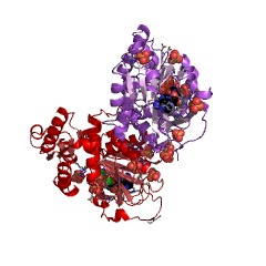 Example Structure of inositol-tetrakisphosphate 1-kinase EC#: 2.7.1.134