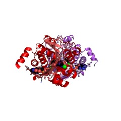 Example Structure of cytidine kinase EC#: 2.7.1.213