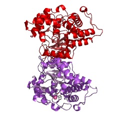 Example Structure of choline kinase EC#: 2.7.1.32