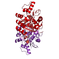 Example Structure of hydroxymethylpyrimidine kinase EC#: 2.7.1.49