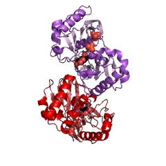 Example Structure of polyphosphate-glucose phosphotransferase EC#: 2.7.1.63