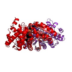 Example Structure of shikimate kinase EC#: 2.7.1.71