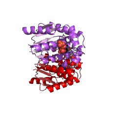 Example Structure of 2'-deoxyadenosine kinase EC#: 2.7.1.76