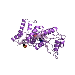 Example Structure of polynucleotide 5'-hydroxyl-kinase EC#: 2.7.1.78