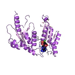 Example Structure of [pyruvate, phosphate dikinase] kinase EC#: 2.7.11.32