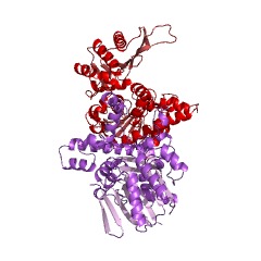 Example Structure of acetate kinase (diphosphate) EC#: 2.7.2.12