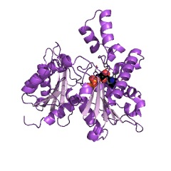 Example Structure of propionate kinase EC#: 2.7.2.15