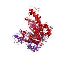 Example Structure of lombricine kinase EC#: 2.7.3.5