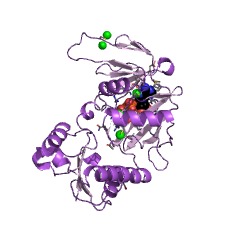 Example Structure of diphosphoinositol-pentakisphosphate kinase EC#: 2.7.4.24