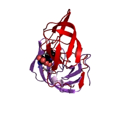 Example Structure of RNA-directed DNA polymerase EC#: 2.7.7.49