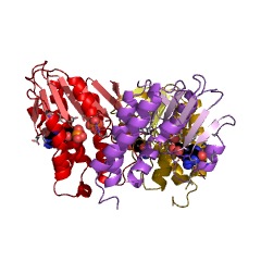 Example Structure of adenosylcobinamide-phosphate guanylyltransferase EC#: 2.7.7.62