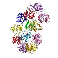 Example Structure of 1L-myo-inositol 1-phosphate cytidylyltransferase EC#: 2.7.7.74