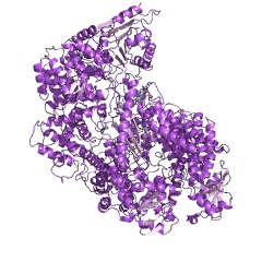 Example Structure of GDP polyribonucleotidyltransferase EC#: 2.7.7.88