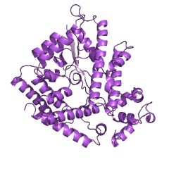 Example Structure of [glutamine synthetase]-adenylyl-L-tyrosine phosphorylase EC#: 2.7.7.89