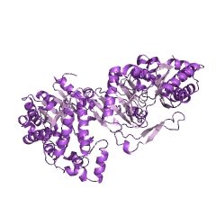 Example Structure of pyruvate, water dikinase EC#: 2.7.9.2