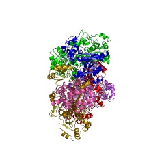 Example Structure of CoA:oxalate CoA-transferase EC#: 2.8.3.19
