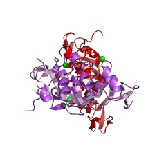 Example Structure of acetate CoA-transferase EC#: 2.8.3.8