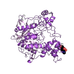 Example Structure of triacylglycerol lipase EC#: 3.1.1.3
