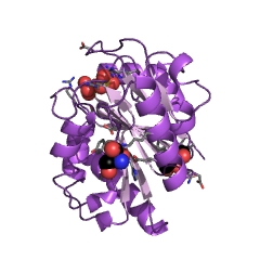 Example Structure of 6-phosphogluconolactonase EC#: 3.1.1.31