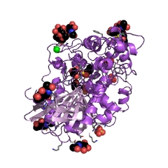 Example Structure of cholinesterase EC#: 3.1.1.8